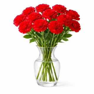 kytice z karafiátů - střední